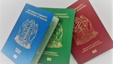 Photo of تأشيرة تنزانيا للمصريين الشروط والاوراق – تكلفة السفر إلى تنزانيا من مصر