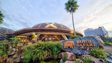 Photo of جدول سياحي في بونشاك – افضل أماكن السهر في بونشاك