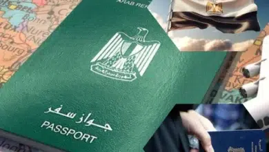 Photo of فيزا مصر للسوريين 2026 السعر والشروط والاوراق المطلوبة