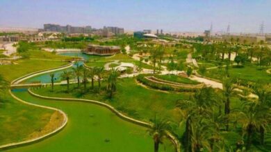 Photo of اسعار حديقة الاسرة 2026 ومواعيد الدخول