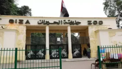 Photo of اسعار تذاكر حديقة الحيوان الجديدة في مصر 2026 ومواعيد الدخول