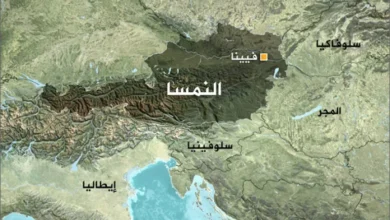 Photo of اللجوء الى النمسا 2026 وطرق ضمان القبول