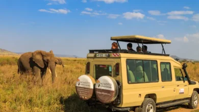 Photo of رحلة سفاري تنزانيا 2026 التكلفة والاجراءات والبرنامج الكامل